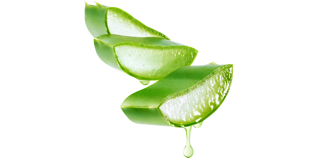 Aloe Vera - Clinical Research