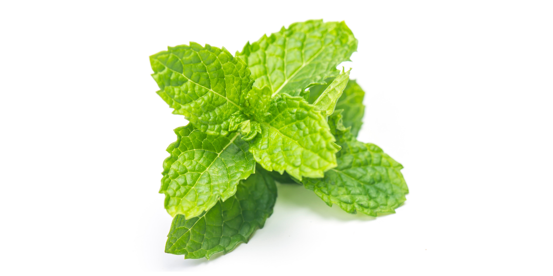 Menthol - Clinical Research