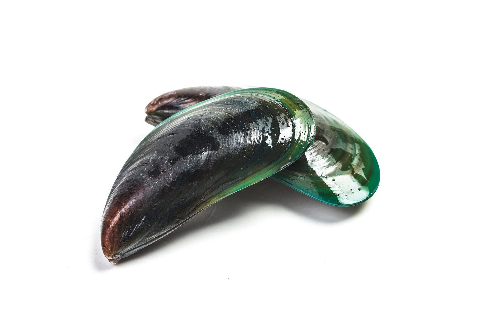 Glucosamine derived from shellfish is associated with clinically meaningful pain and function improvements